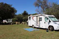 6: 05 campsite