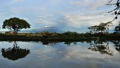 23: 23 kilimanjaro