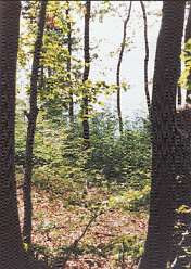 15: 25a