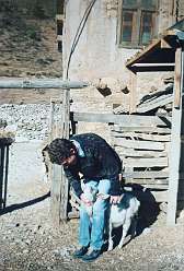 10: 11a