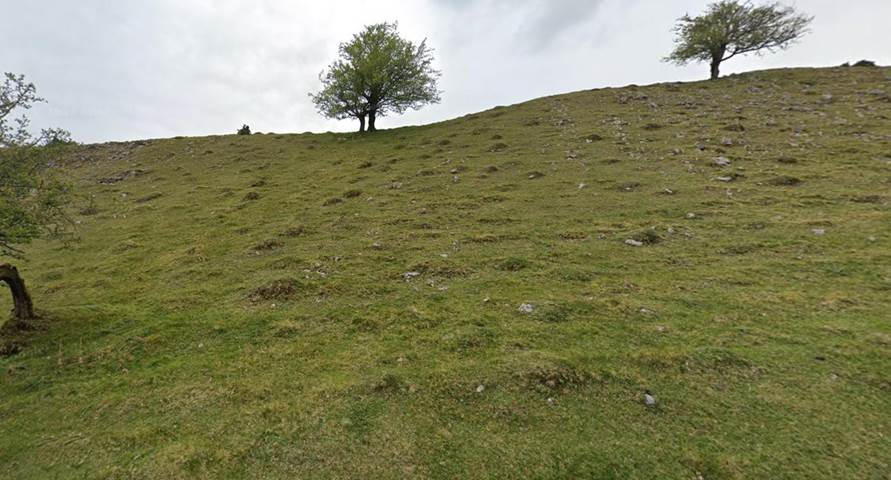 A grassy hill with trees on it
Description automatically generated