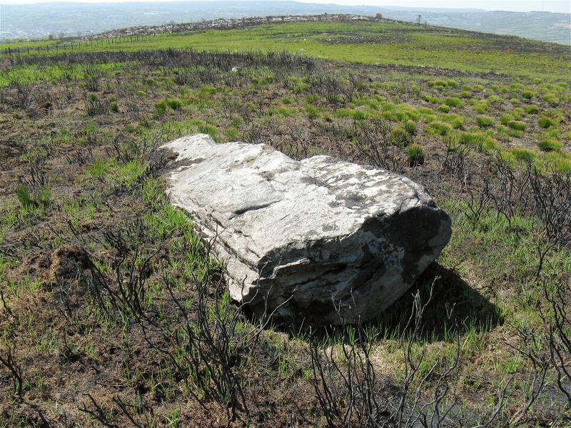 A large rock in a grassy field
Description automatically generated
