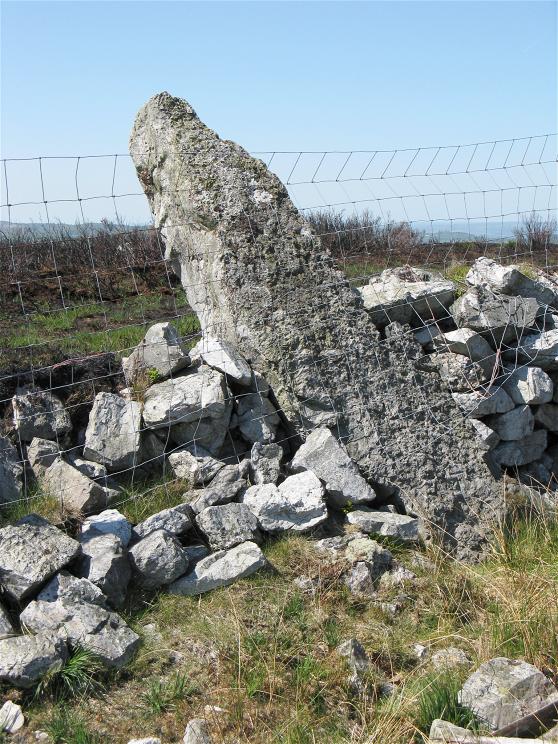 A rock wall with a fence
Description automatically generated with medium confidence