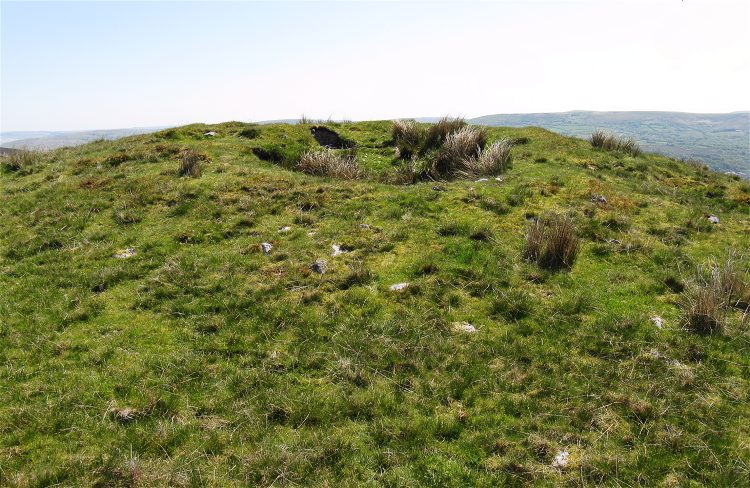 A grassy hill with a hill in the background
Description automatically generated