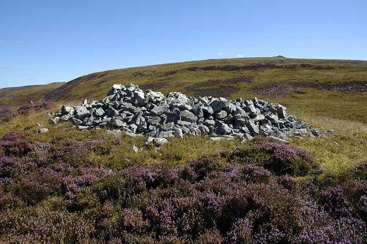 A pile of rocks in a field
Description automatically generated