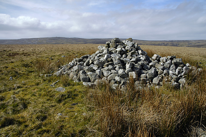 A pile of rocks in a field
Description automatically generated