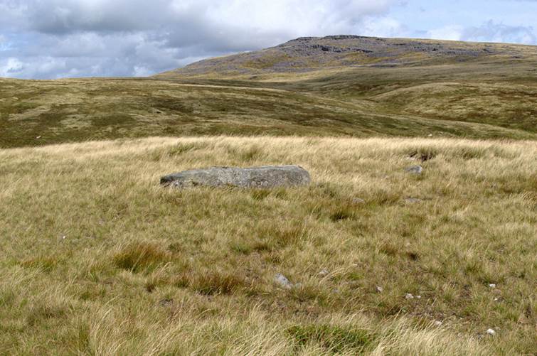 A large rock in a grassy field
Description automatically generated