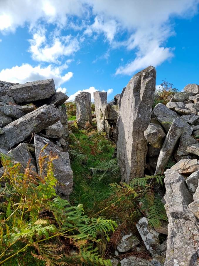 A pile of rocks and grass
Description automatically generated