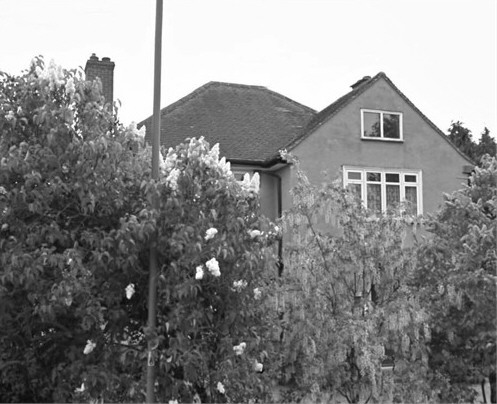 lane
              end.jpg