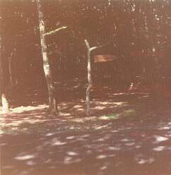 19: 21 image0-4