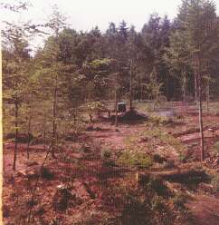 20: 22 image0-5