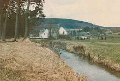 30: 29 Craik