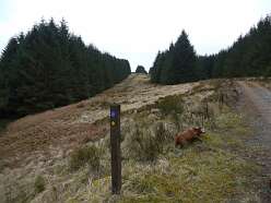 32: 29b Roman road (Craik)