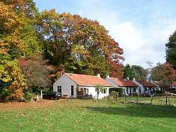 49: 50 Heidebeek