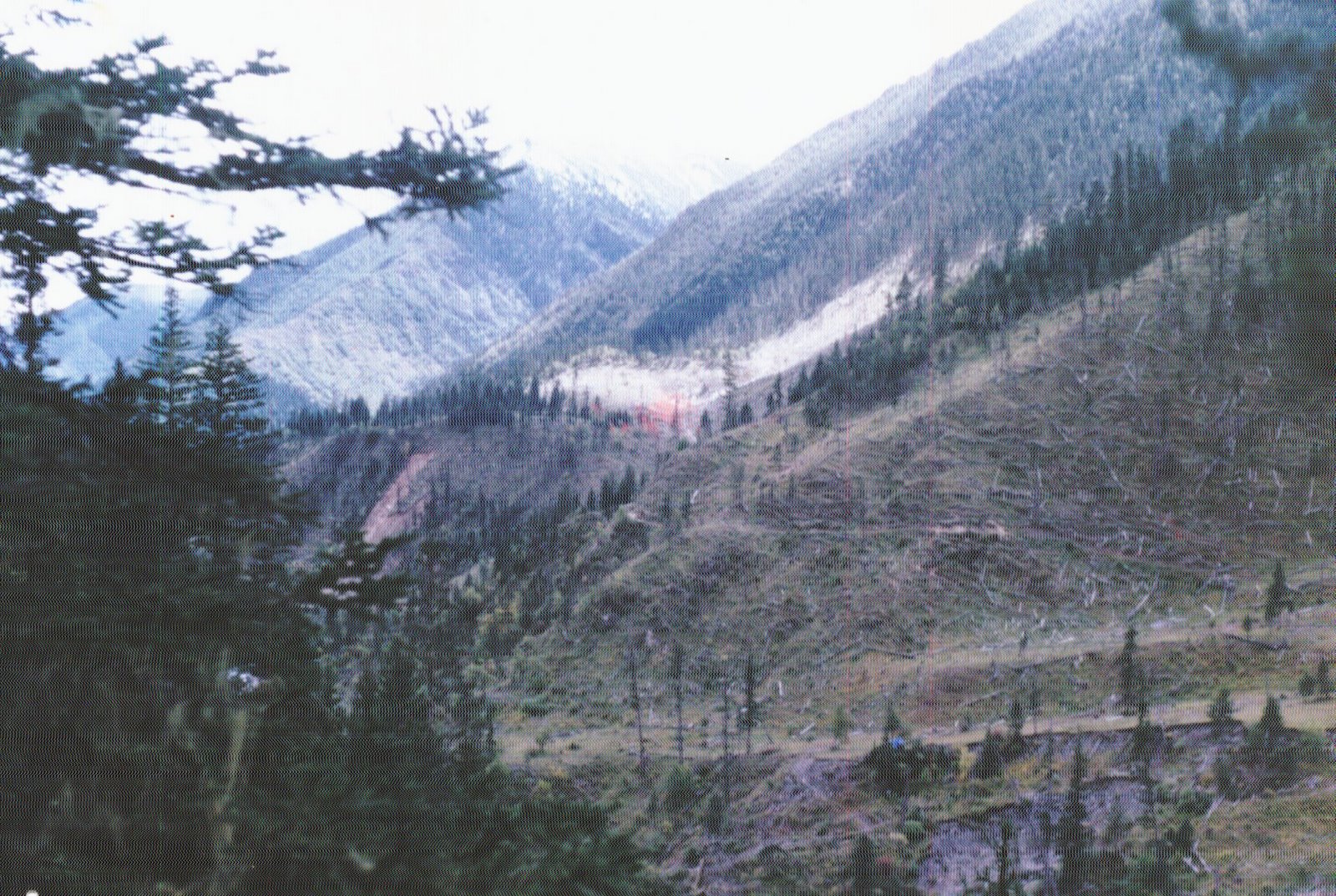 23: 1994 China Tree Mining