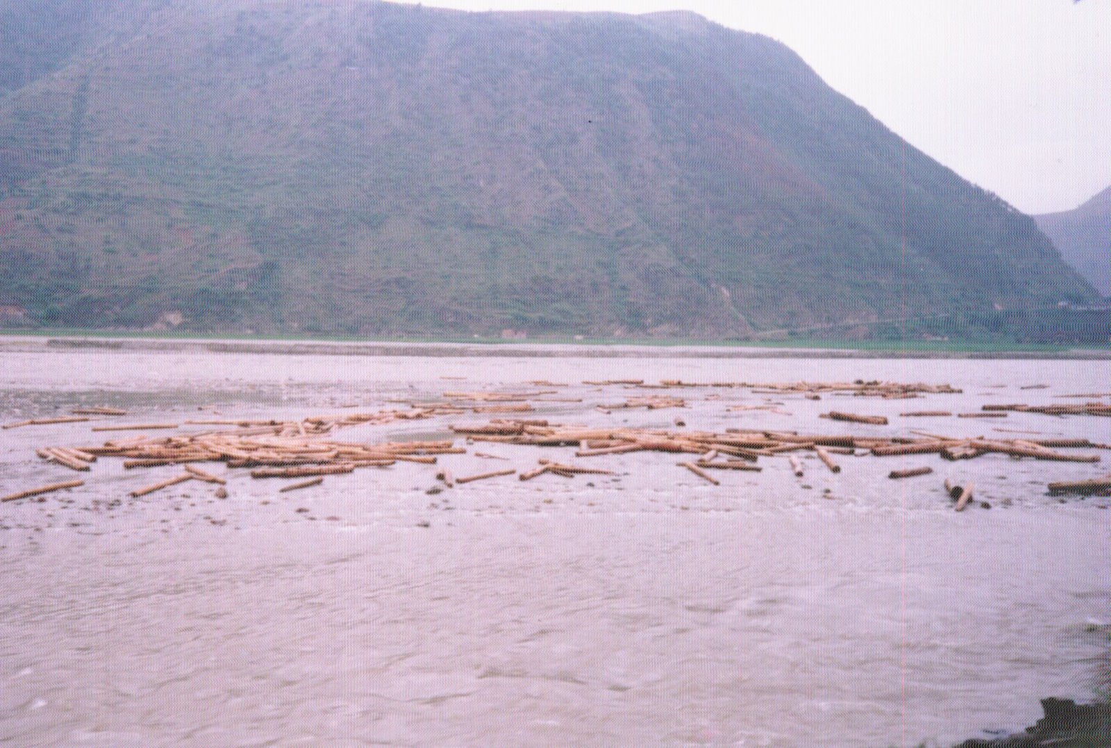 21: 1994 Forest Hydrology