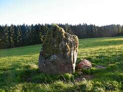 Gwern Wyddog<br>Gwern Wyddog

  Gwern-Wyddog Standing Stone (Menhir)