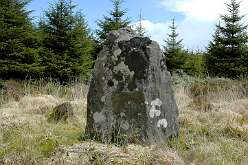 Mynydd Myddfai Stones<br>Mynydd Myddfai Stones

  

      Megalithic Portal — Mynydd Myddfai Stones