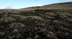 Carn Pant Meddygon<br>Carn Pant Meddygon

  Carn Pant Meddygon - Round Barrow(s)