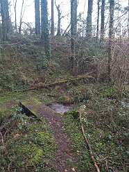 Ffynnon y Wern<br>  Ffynnon y Wern — Holy Well or Sacred Spring