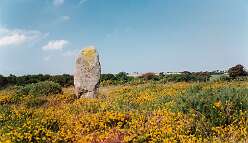 12 Rhos y Clegyrn<br>12 Rhos y Clegyrn

  

  Rhos y Clegyrn