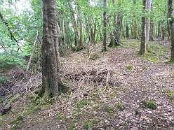 Ynys Y Borde Earthwork<br>Ynys Y Borde Earthwork