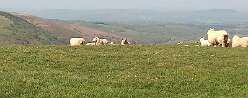 Blaen Clydach Fach Cairn 2<br>Blaen Clydach Fach Cairn 2
