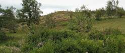 Coed Gibraltar<br>Site Name: Coed Gibraltar

Country: Wales County: Powys Type: Promontory Fort / Cliff Castle

Nearest Town: Sennybridge

Map Ref: SN92622954

Latitude: 51.953948N  Longitude: 3.56396W

Condition: 3 Ambience: 4 Access: 4 Accuracy: 5

An Iron Age Hiil fort in a bend of the River Usk. Approximately 100 yards across and 100' high. Damaged by the abandonded construction of a railway line in the 19th. Century. The roughly pear-shaped hill is now covered in juvenile, commercial forestry.