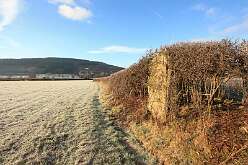 Tretower<br>Tretower