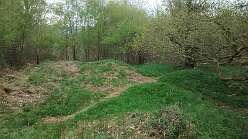 Llangenny Camp<br>Llangenny Camp