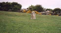 15 dinas cross<br>15 dinas cross

  

  Dinas Cross