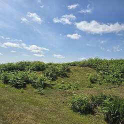 Garway Hill<br>Garway Hill