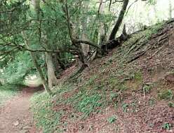 Offas Dyke near Brockweir<br>Offas Dyke near Brockweir