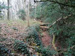 Offas Dyke at Tidenham Chase<br>Offas Dyke at Tidenham Chase