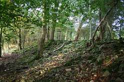 Spital Meend Camp - 6 - Outer E bank looking NNE<br>Spital Meend Camp - 6 - Outer E bank looking NNE