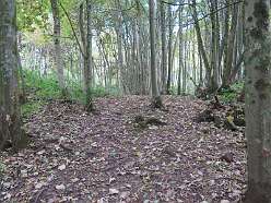 Pierce Wood 2<br>Pierce Wood 2