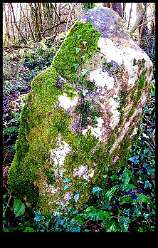 Piercefield Park Stone<br>Piercefield Park Stone