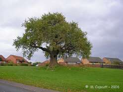 Thornwell Farm<br>Thornwell Farm