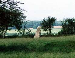 Penfeidr Coedan Stone<br>24a Penfeidr Coedan Stone

  

  Penfeidr Coedan Standing Stone