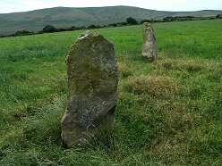 Penlan Stone pair<br>25 Penlan Stone pair

  

  Penlan Stone Pair