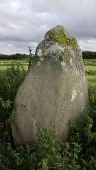 Maenclochog Standing Stones<br>30a Maenclochog Standing Stones

  

  Maenclochog Standing Stones