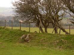 Glynsaithmaen<br>32a Glynsaithmaen

  

  Glynsaithmaen SW Standing Stone