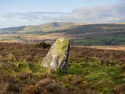 Dolaumaen Standing Stone<br>36 Dolaumaen Standing Stone

  

  Dolaumaen Standing Stone