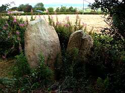 Cefn Brafle<br>42 Cefn Brafle

 

 

Cefn Brafle