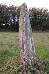 Llanddowror Standing stone<br>42b Llanddowror Standing stone

  

Llanddowror Standing stone