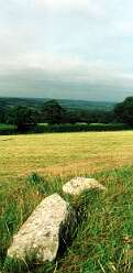 Llan Chambered Tomb<br>43 Llan Chambered Tomb

  

  Llan Chambered Tomb