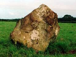 Belle Vue<br>44 Belle Vue

  

  Belle Vue (Parc-y-Garreg) Standing Stone
