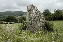 Gors Llangynog standing stone<br>48 Gors Llangynog standing stone

  

  Gors Llangynog Standing Stones