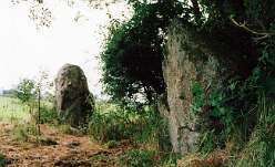 Myrddins Quoit<br>50 Myrddins Quoit

  

  Myrddin’s Quoits Chambered Tomb