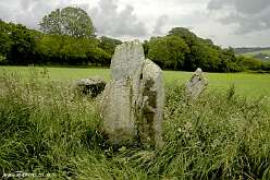 Maen Llwyd<br>Maen Llwyd